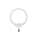 Comprar Lámpara LED Anular Yongnuo YN-608 - Ganga Electrónica