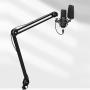 Boya Microphone Studio Arm BY-BA20