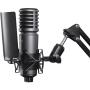 Godox Large-Diaphragm Cardioid Condenser Microphone XMIC100GL