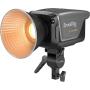 SmallRig 3976 RC450B LED Video Light(EU)