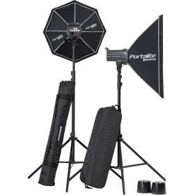 Elinchrom D-Lite RX 4 - Dual Monolight Kit