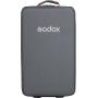 Godox Carry Bag For M600BI CB65