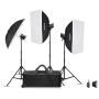Godox MS300V-D Trio Studio Flash Kit
