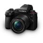 Panasonic LUMIX G9 II + G 12-60mm f/3.5-5.6