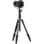 Fotopro X-GO E + 42QP Carbon Tripod