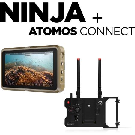 Atomos ATOMNJCBD1