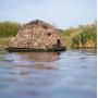 Buteo Photo Gear Floating Hide Grebe