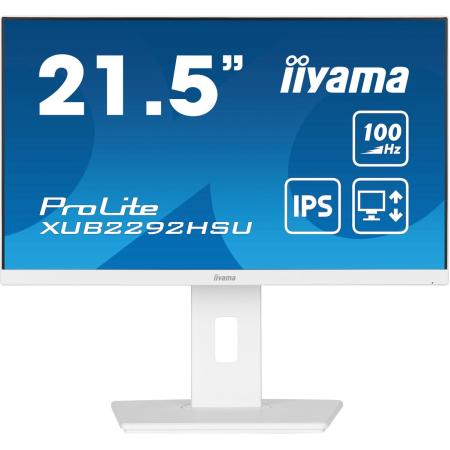 Iiyama 22IW LCD Full HD IPS