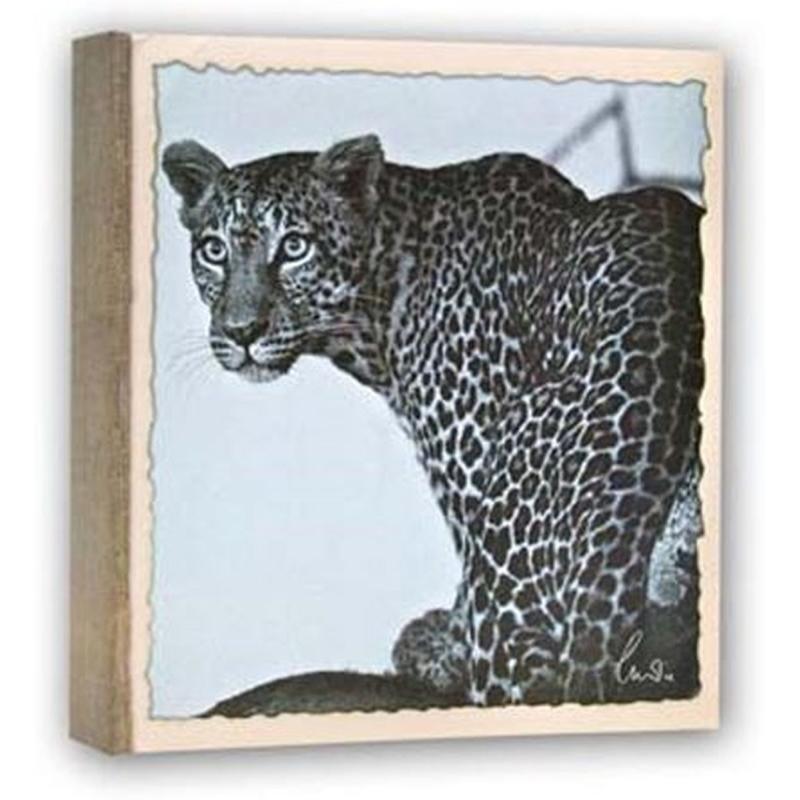 Zep WL57100 Album Slip-In 100 Photos 13x19 cm - 12 Albums