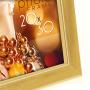 Zep Photo Frame WT23G Wales Gold 20x30 cm