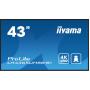 Iiyama 43IW LCD 4K UHD IPS 800 CD/M