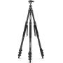 Ulanzi TT35 Hicking Stick Tripod Kit