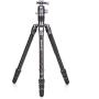 Benro Rhino Tripod Kit (FRHN24CVX25)