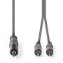 Nedis Stereo Audio Cable 3.5mm M-2X RCA M 3.0m Grey