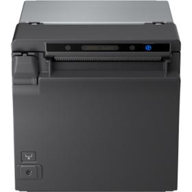 Epson EU-M30 (002): USB + Serial NES Black No