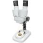 Byomic Beginners Stereo Microscope 20X