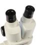 Byomic Beginners Stereo Microscope 20X