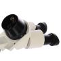 Byomic Stereo Microscope BYO-ST3