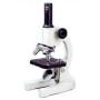 Byomic Studie Microscope BYO-10