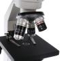 Byomic Studie Microscope BYO-30