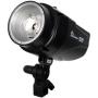 Linkstar Studio Flash MT-250D 250WS