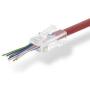 Nedis NTWK Conn RJ45M-FOR Solid CAT5 UTP-CBLS 10pcs Trans.