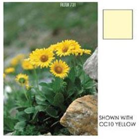 Cokin Filter P729 Yellow CC (CC50Y)