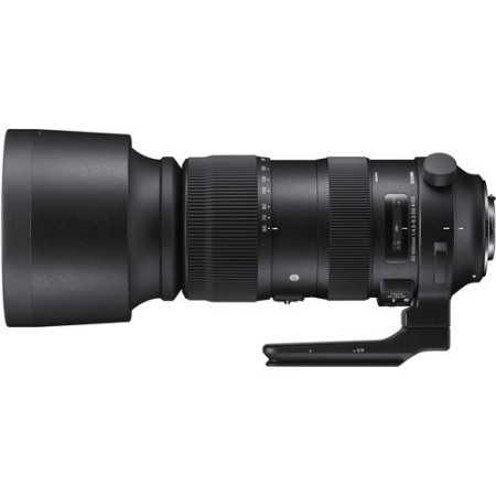 Comprar Sigma 60-600mm f4.5-6.3 DG OS Sport Canon | Ganga Electrónica