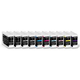 Epson Singlepack Photo Black T46S1