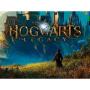 Juego para Consola Nintendo Switch Hogwarts Legacy Standard