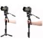 Nest Video Monopod NT-329M