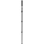 Benro Adventure Monopod MAD38A