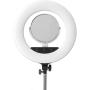 Caruba RGB Round Vlogger 18 inch LED Set w/ Bag - White