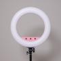 Caruba RGB Round Vlogger 18 inch LED Set w/ Bag - Pink