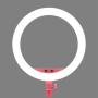 Godox LR150 LED Ring Light Pink