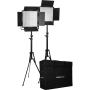 Nanlite 600-CSA Dual Kit (w/ Case &amp;amp; Light Stand)