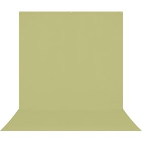 Westcott X-Drop Pro Wrinkle-Resistant Background - Mos Green Sweep (2.4 X 4 M)