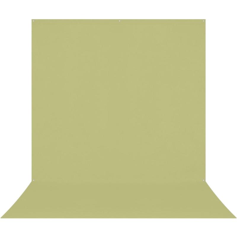Westcott X-Drop Pro Wrinkle-Resistant Background - Mos Green Sweep (2.4 X 4 M)
