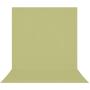 Westcott X-Drop Pro Wrinkle-Resistant Background - Mos Green Sweep (2.4 X 4 M)