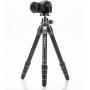 Benro Tortoise Tripod TTOR35C