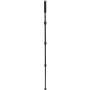 Benro MACH3 Monopod MMA28C