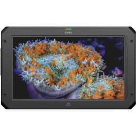 Atomos SUMO19 SE - ATOMSUMSE1