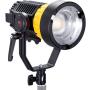 Falcon Eyes Mini LED Fresnel P-12 120W