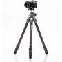 Benro Tortoise Tripod TTOR14C