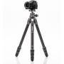 Benro Tortoise Tripod TTOR24C