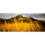 Lensbaby Spark 2.0 Nikon F (FX)