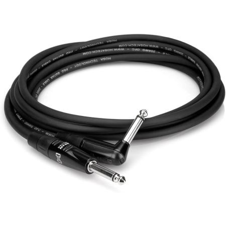 Hosa HGTR-010R Pro Guitar Cable Rean Straight To R-ANG 10FT