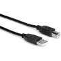 Hosa USB-210AB High Speed USB Cable Type A To Type B 10 FT