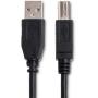 Hosa USB-210AB High Speed USB Cable Type A To Type B 10 FT