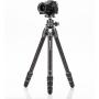 Benro Tortoise Tripod Kit TTOR24CGX30